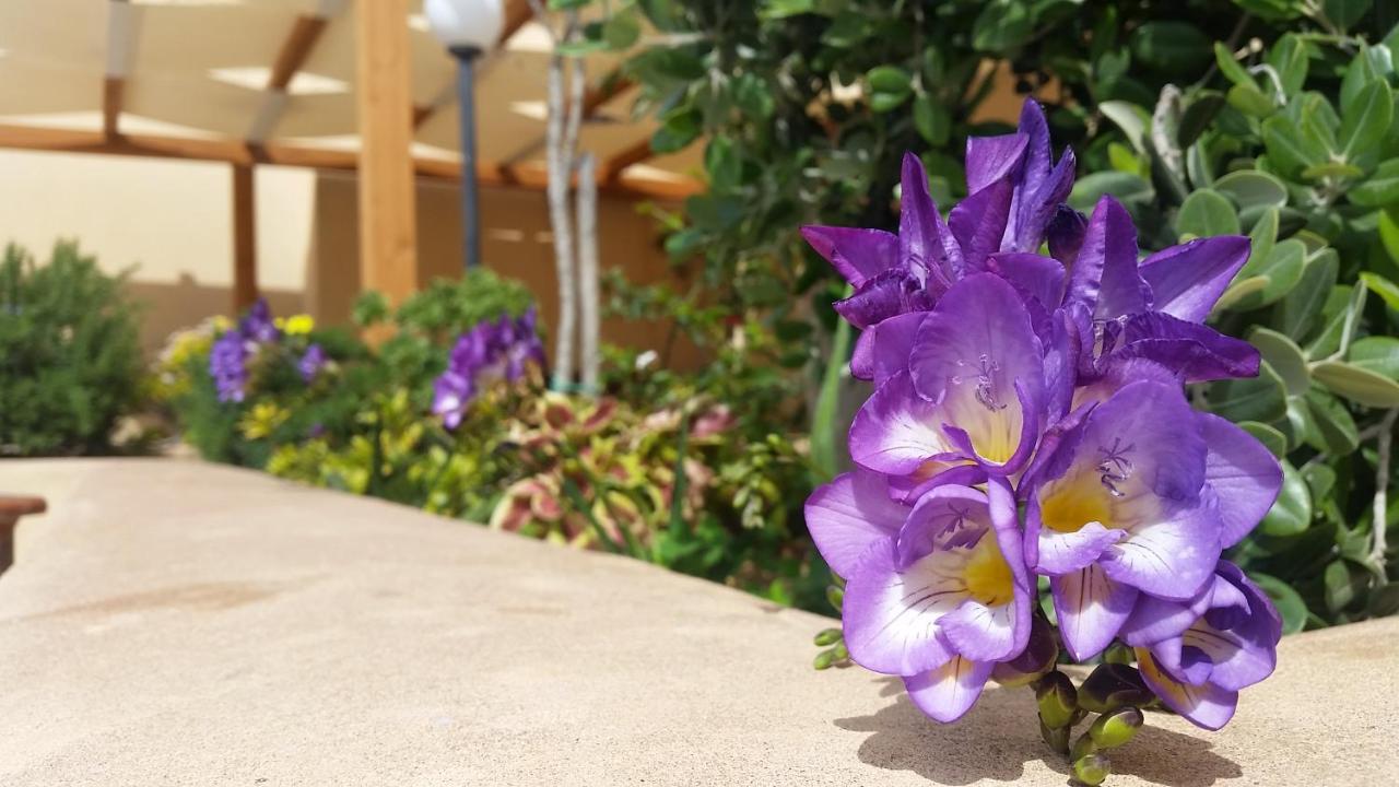 Baglio Cudia Resort 마르살라 외부 사진